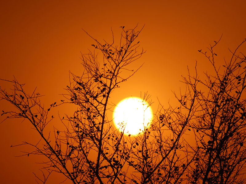 El Sol como Fuente de Energía: Importancia, Beneficios y Casos de Éxito
