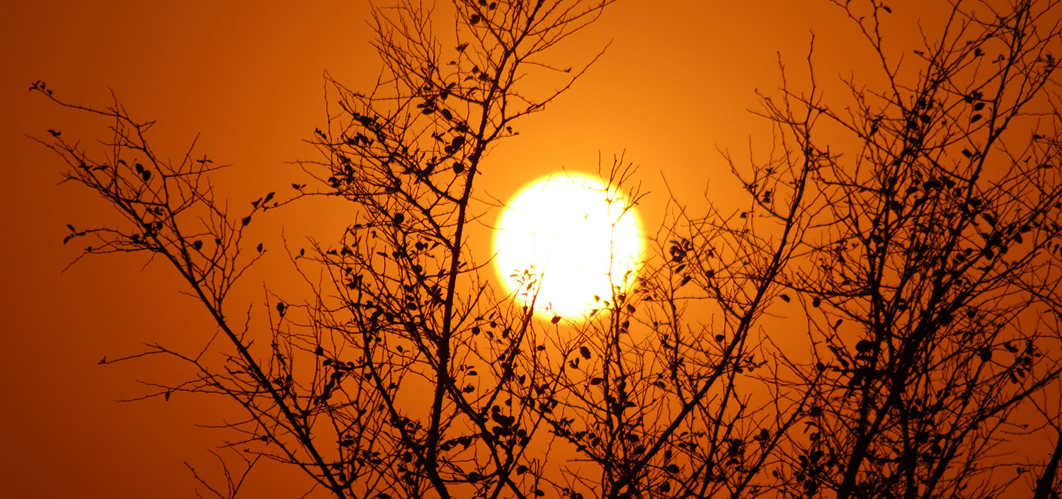 El Sol como Fuente de Energía: Importancia, Beneficios y Casos de Éxito